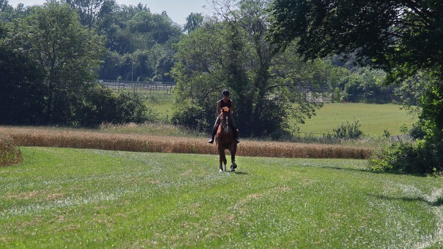 British Racers Seldom Pay Their Way