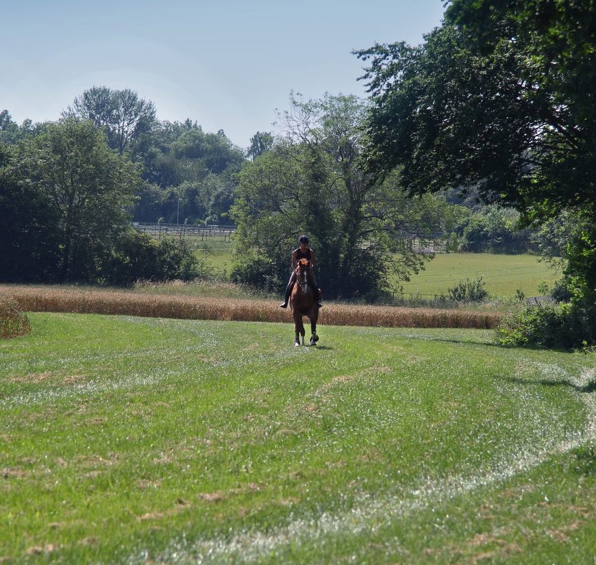 British Racers Seldom Pay Their Way