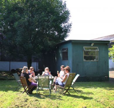 Synthetic Horseshoes Reduce Impact