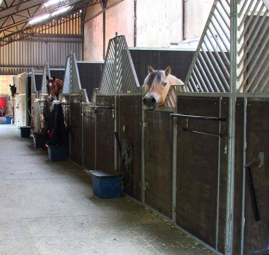 Price Doesn’t Reflect Earnings