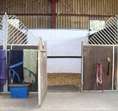 Feeding Horses For Competition