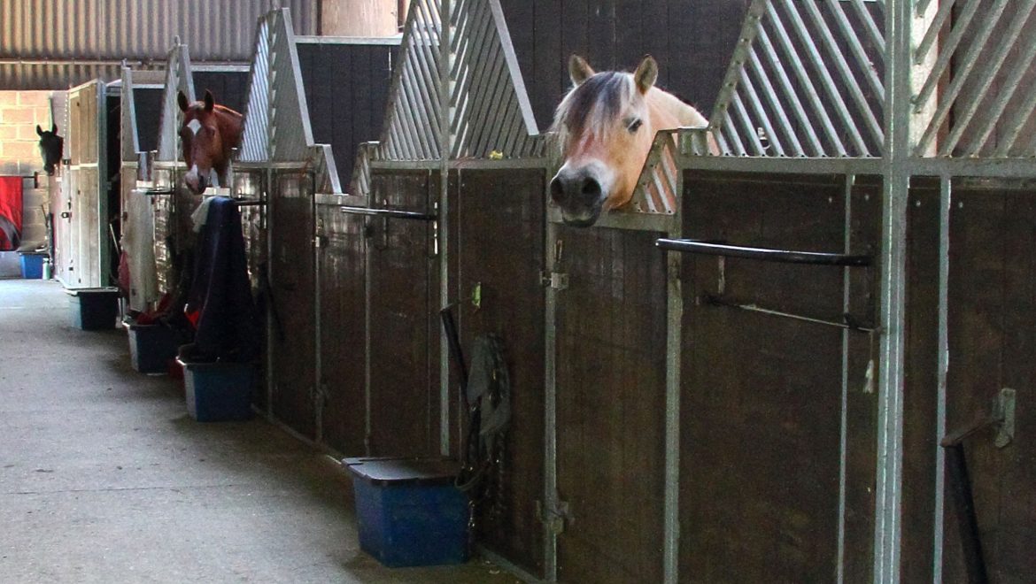 Air Pollution Slows Horse Races