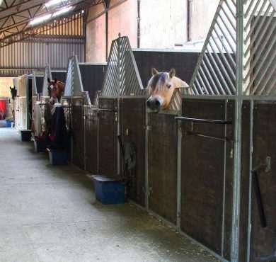 Air Pollution Slows Horse Races