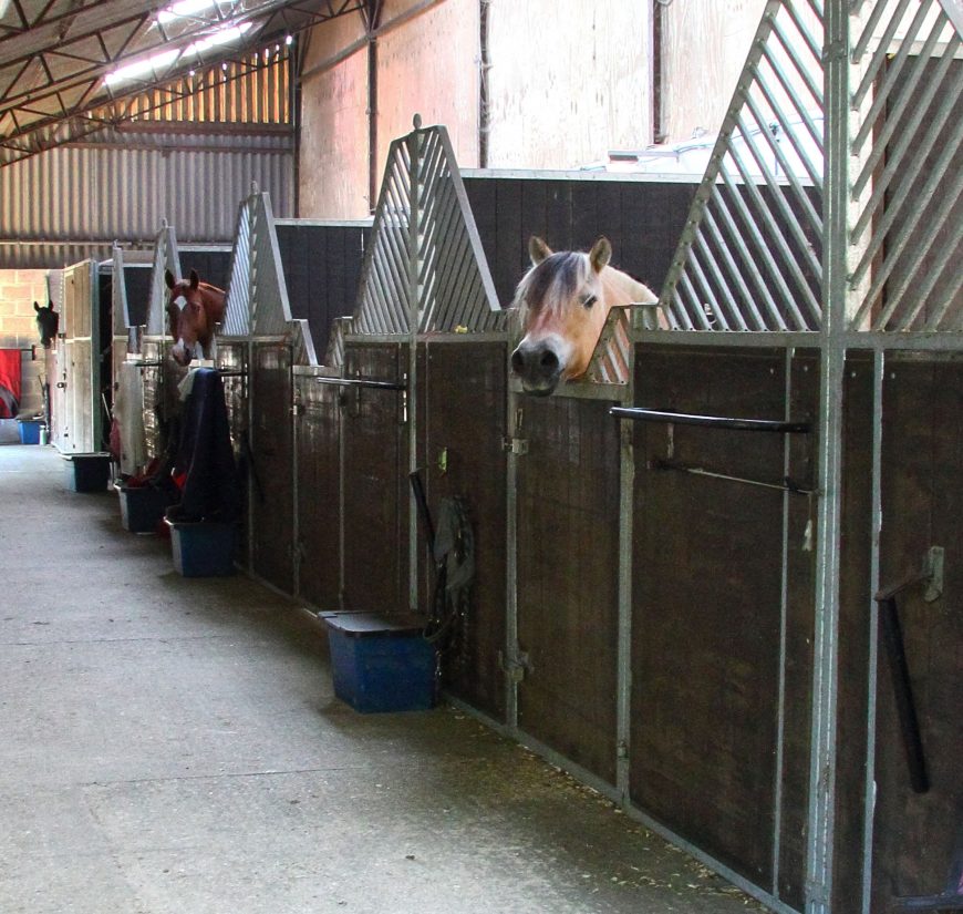 Air Pollution Slows Horse Races